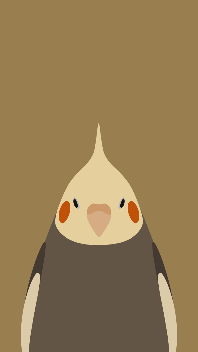 adorable bird wallpaper designs