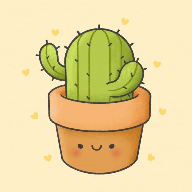 adorable cactus imagery