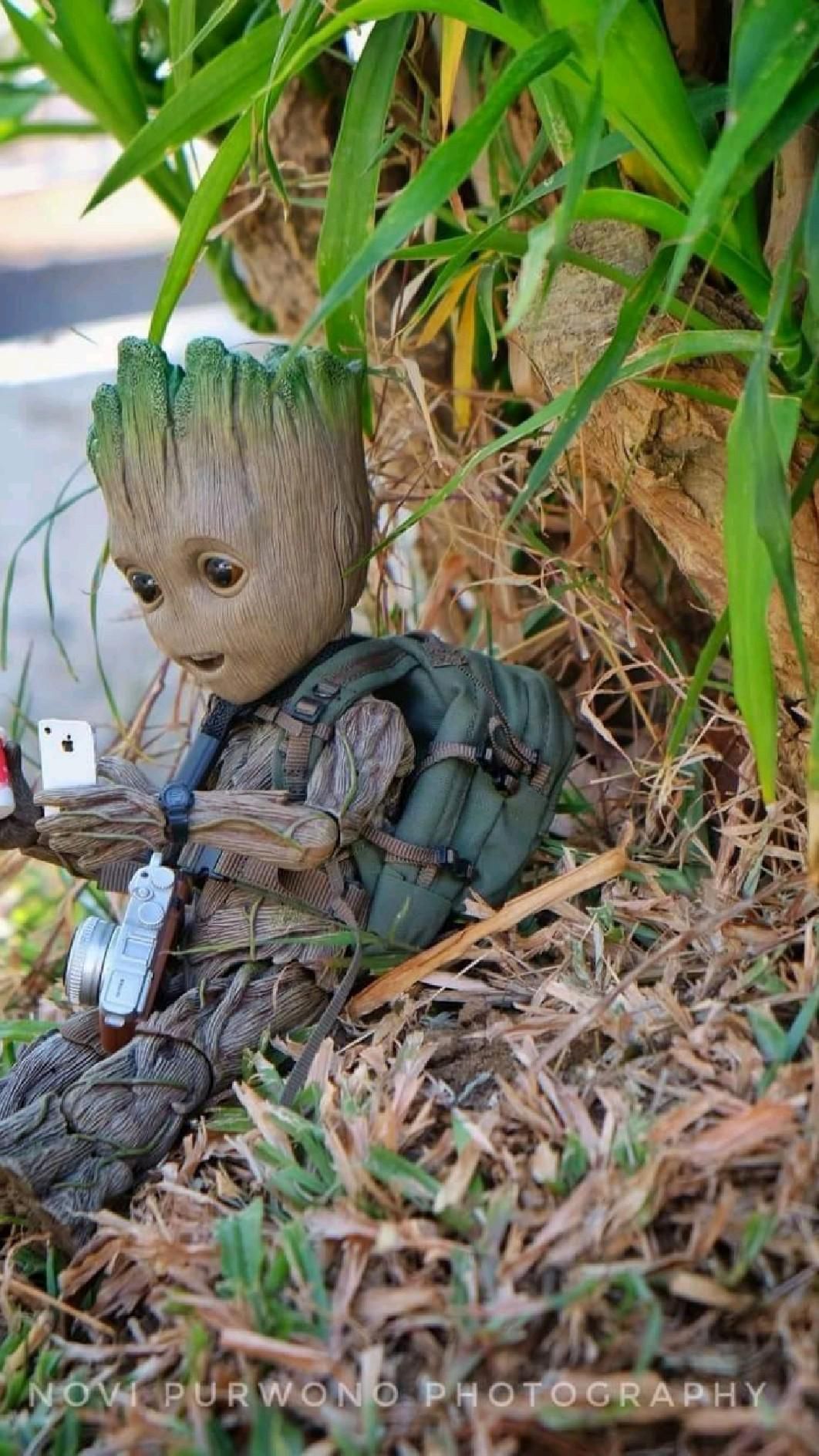 adorable cute Groot wallpapers 0029