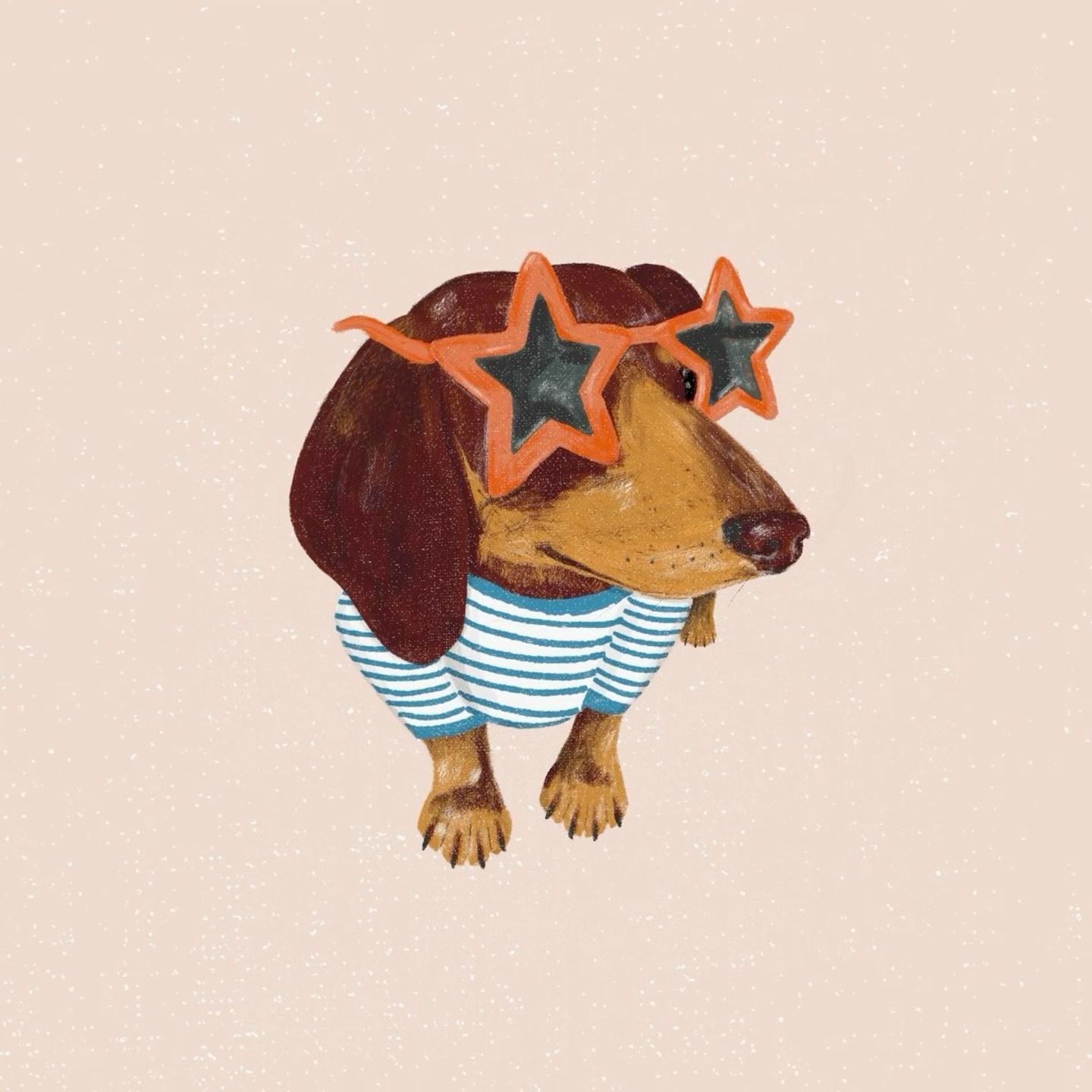 adorable dachshund wallpapers for phones