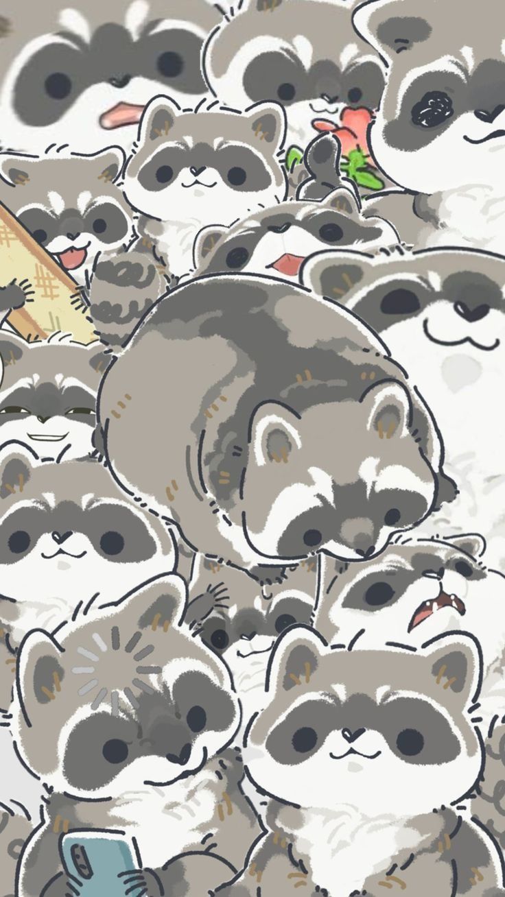 adorable raccoon wallpaper designs