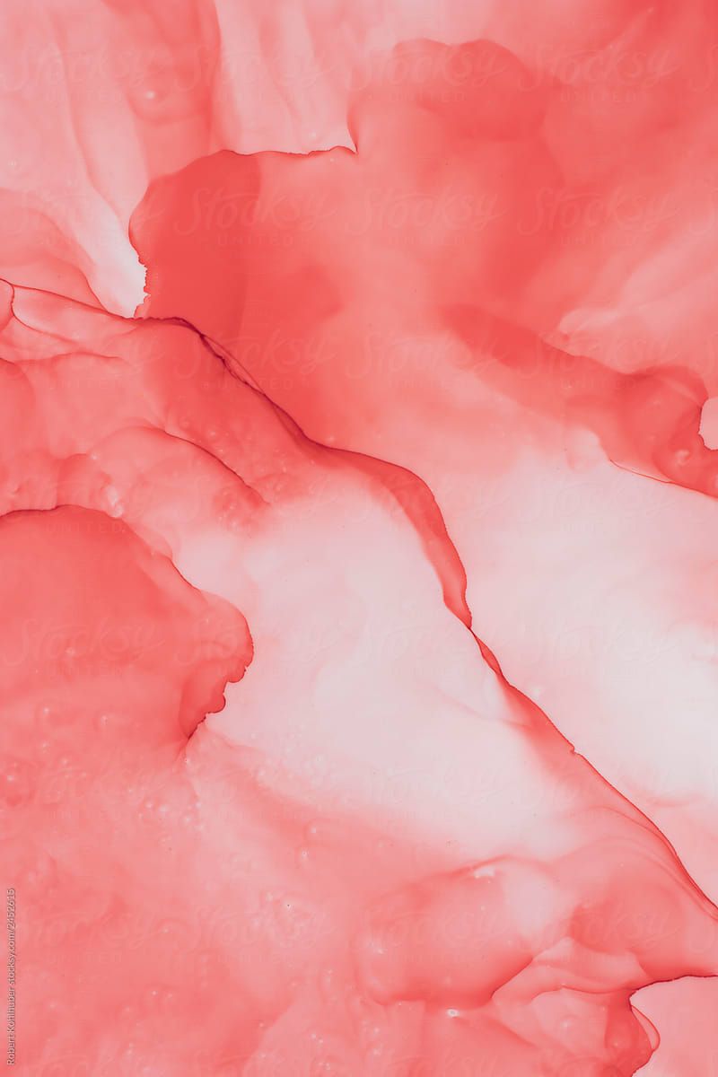 aesthetic coral wallpapers