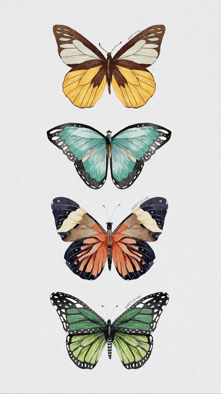 aesthetic cute butterfly wallpapers