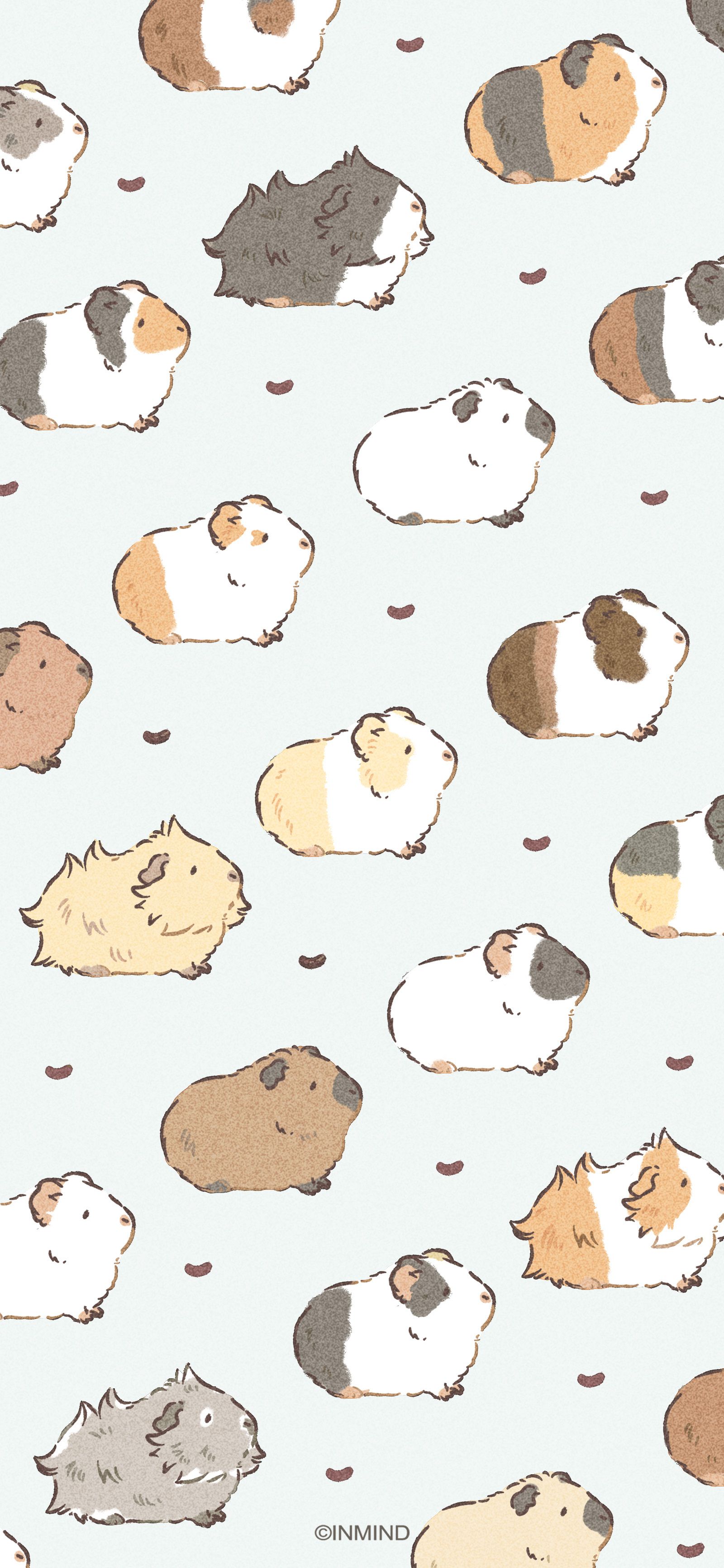 aesthetic guinea pig wallpapers for teens