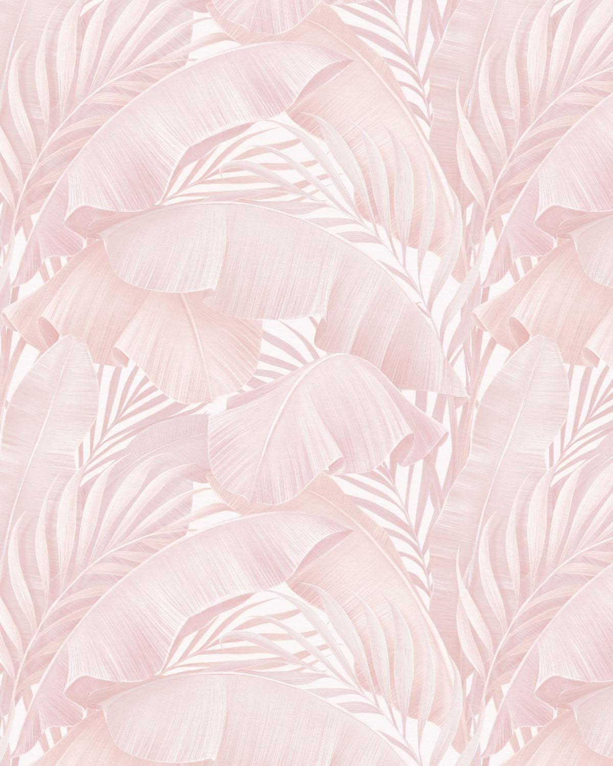 aesthetic tropical cute summer wallpapers