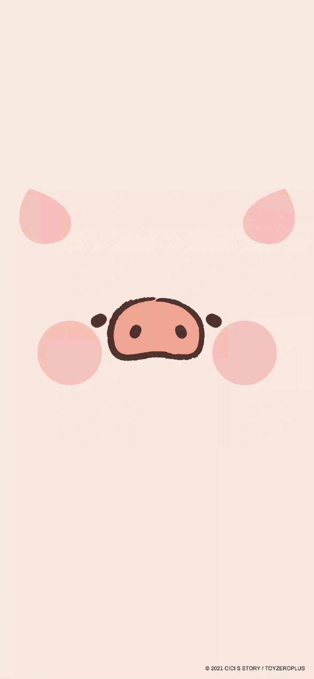 charming cute pig wallpapers