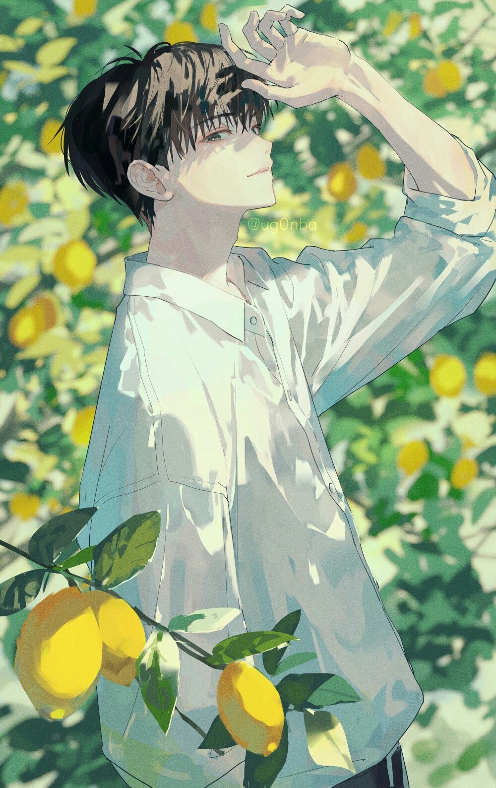 cute aesthetic lemon wallpapers 0021