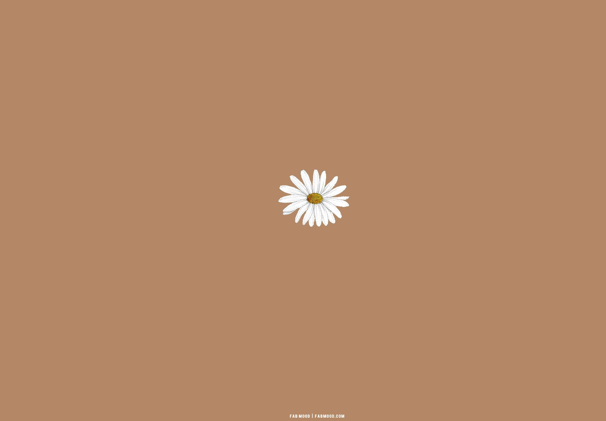 cute aesthetic wallpapers brown 0030