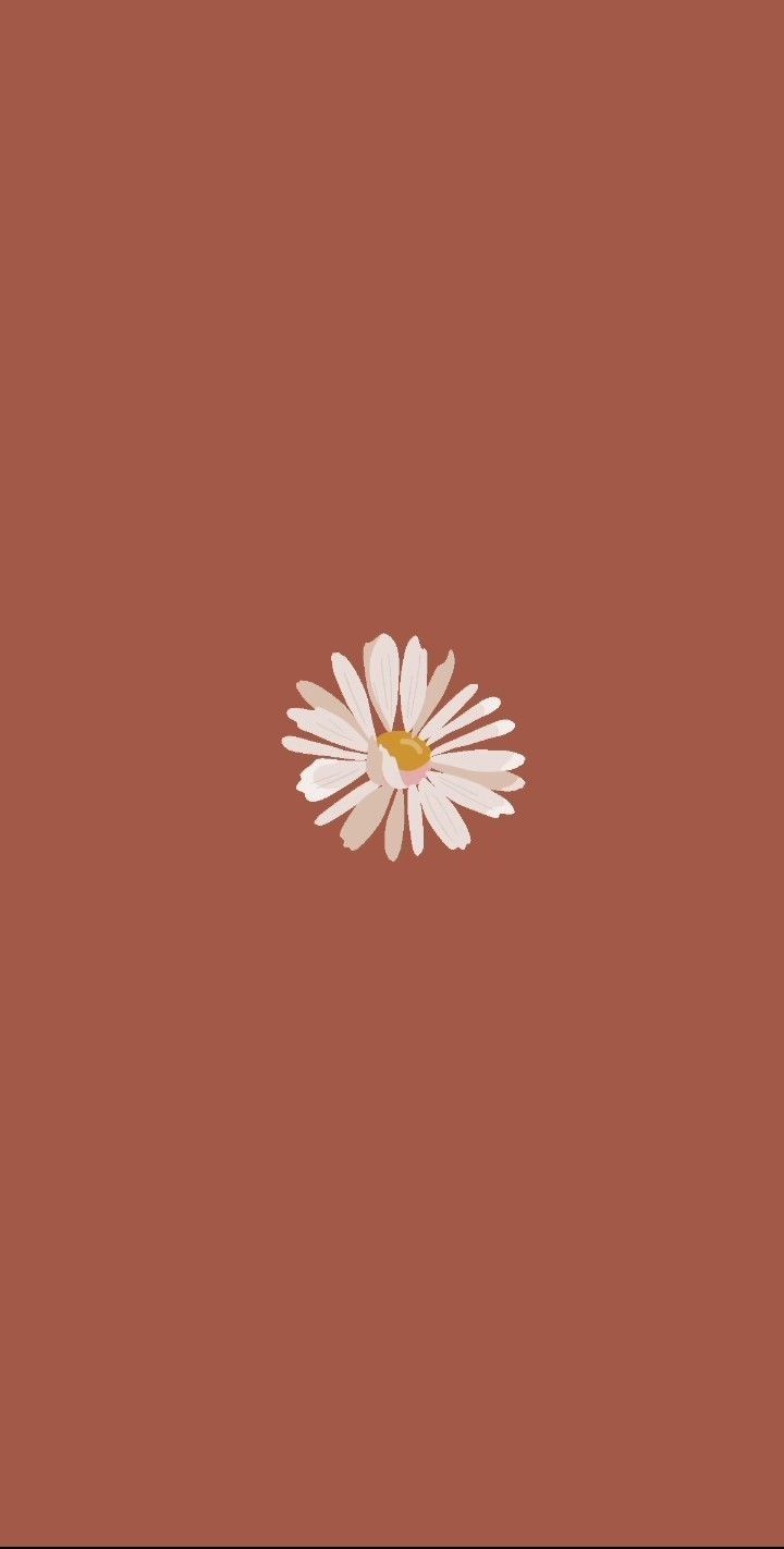 cute aesthetic wallpapers brown 0099