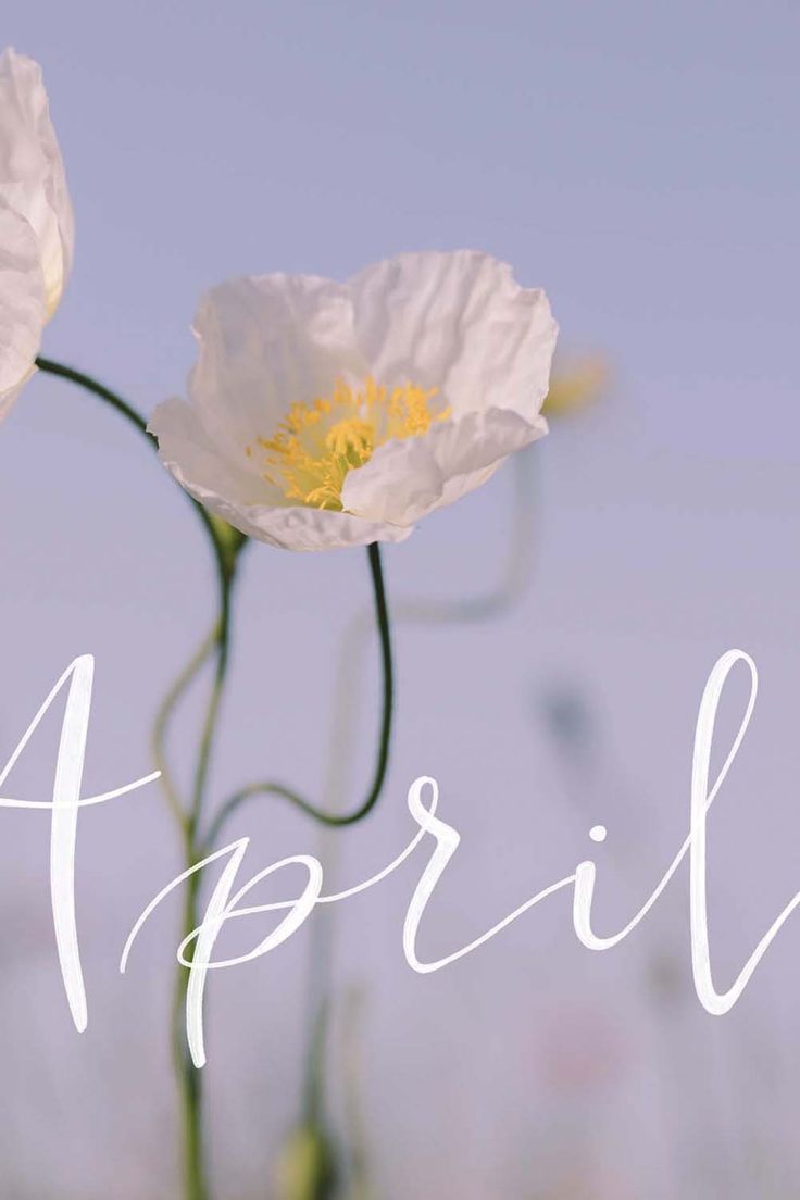 cute april wallpapers 0094