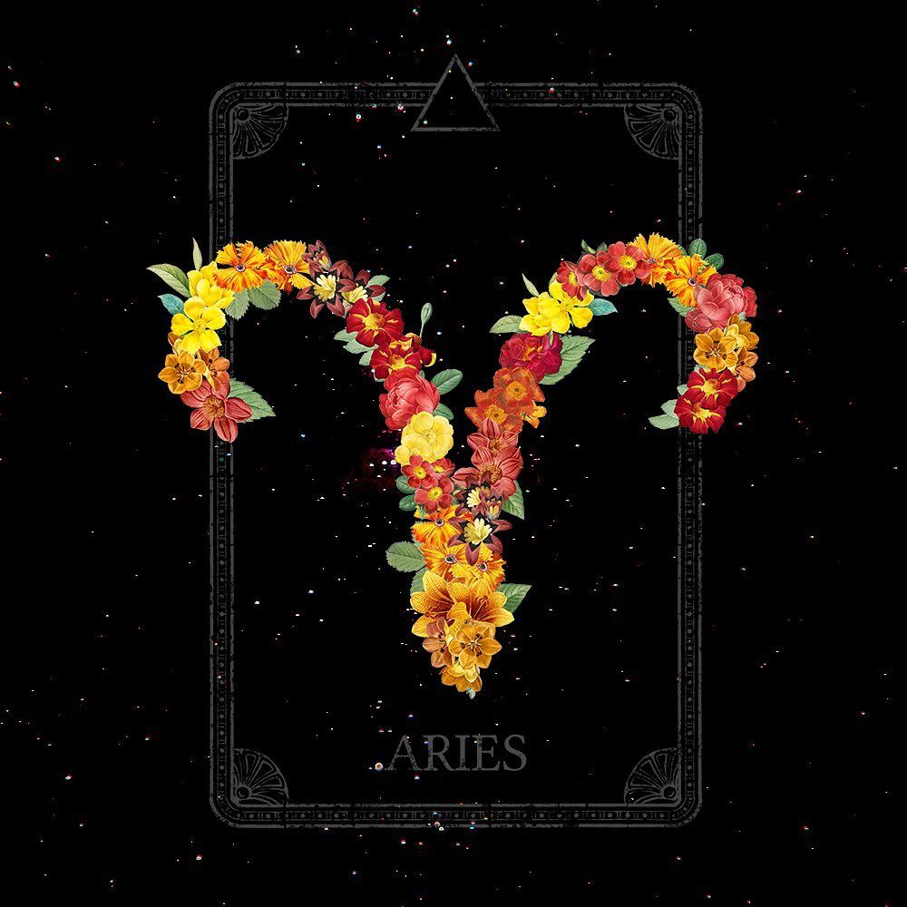 cute Aries wallpapers 0021