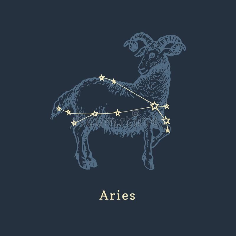 cute Aries wallpapers 0051