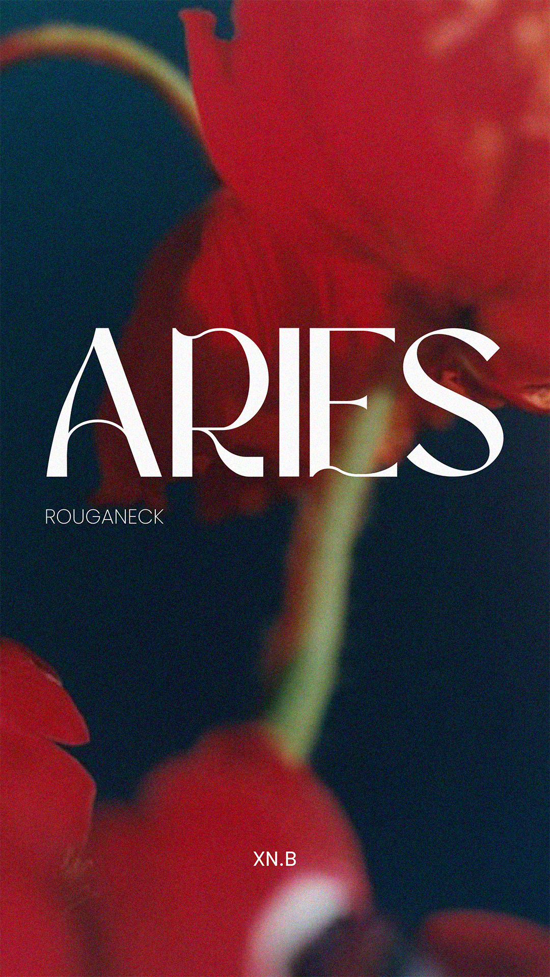 cute Aries wallpapers 0057