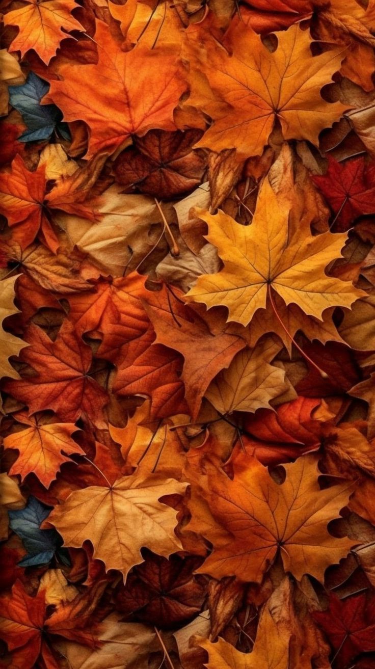 cute autumn wallpaper 0079