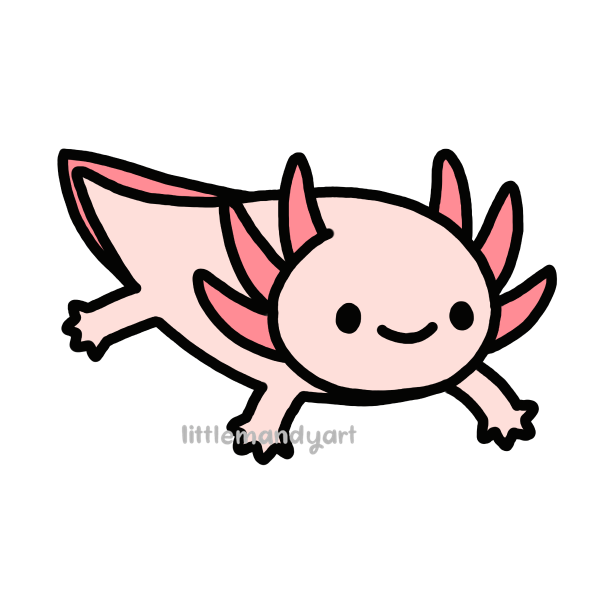 cute Axolotl wallpapers 0014