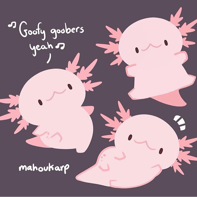 cute Axolotl wallpapers 0015