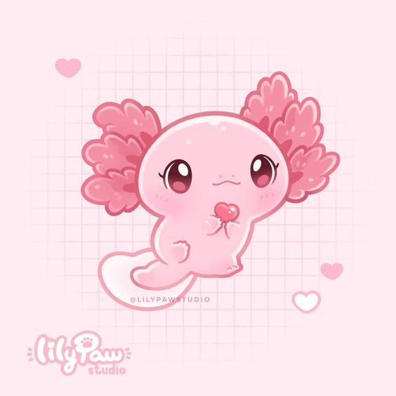 cute Axolotl wallpapers 0034