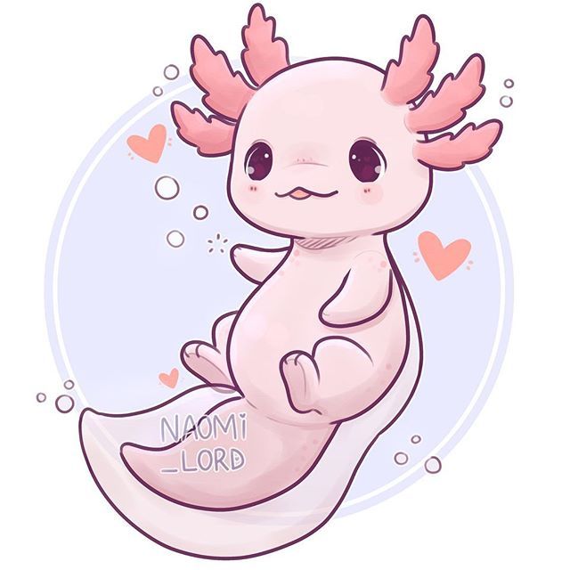 cute Axolotl wallpapers 0049