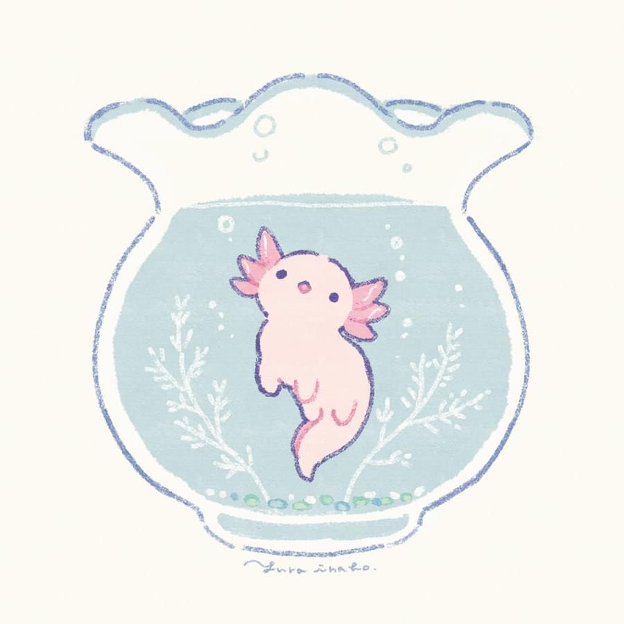 cute Axolotl wallpapers 0069