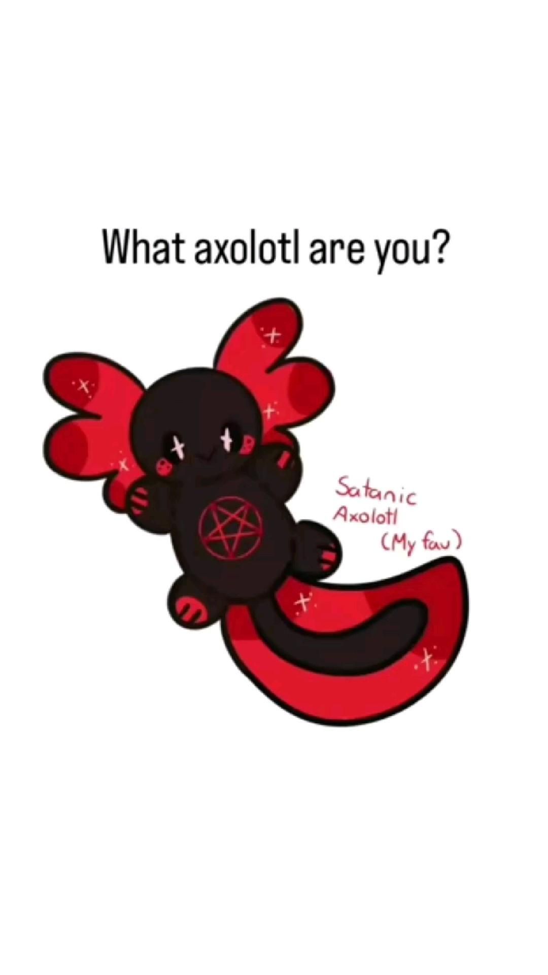 cute Axolotl wallpapers 0085