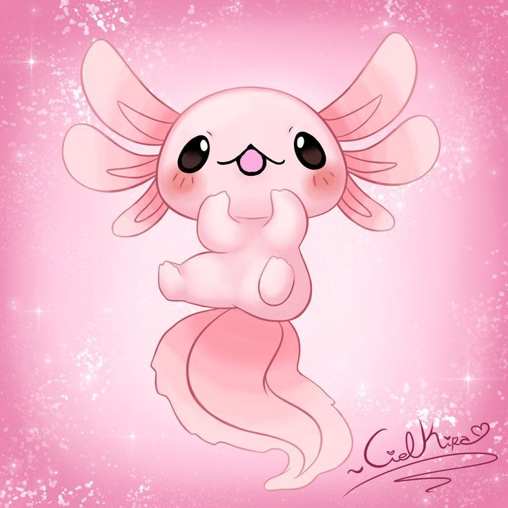 cute Axolotl wallpapers 0088