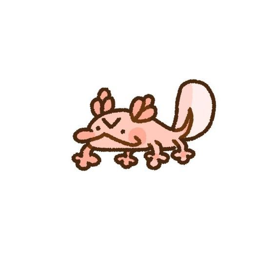 cute Axolotl wallpapers 0095