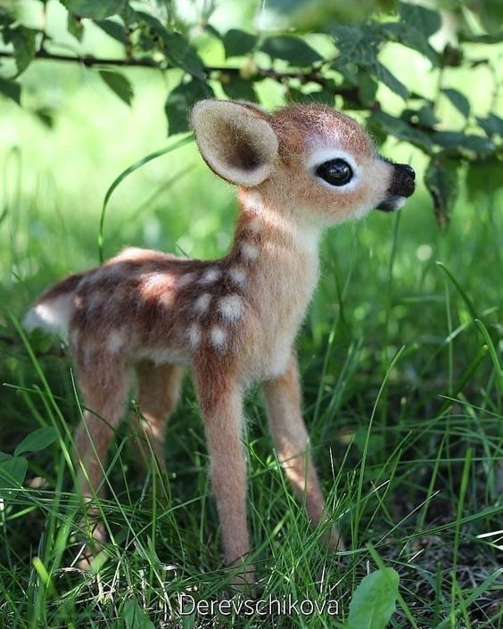 cute baby animal wallpapers 0009