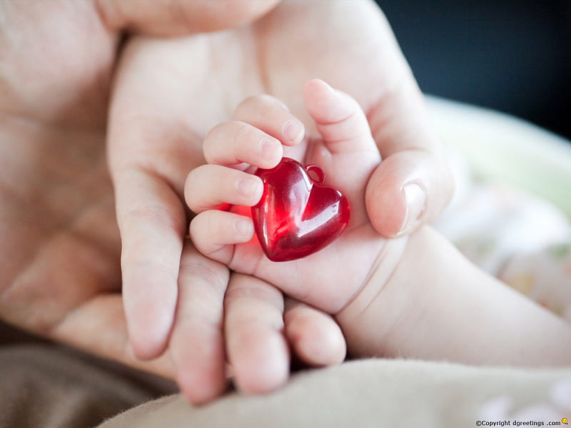 cute baby hands wallpapers 0011