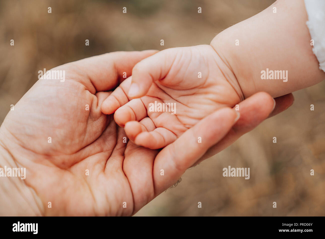 cute baby hands wallpapers 0053