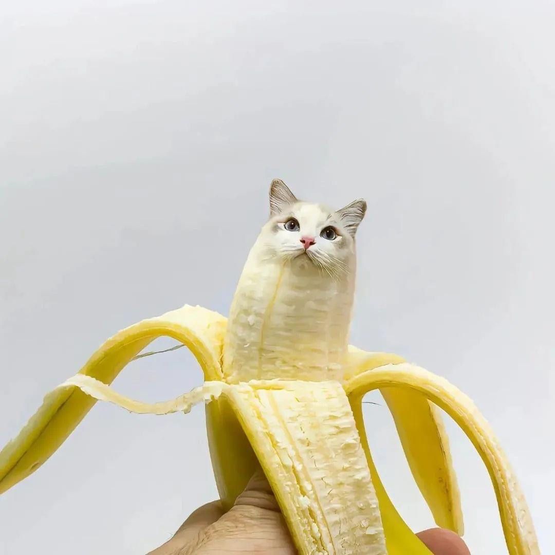 cute banana wallpapers 0050