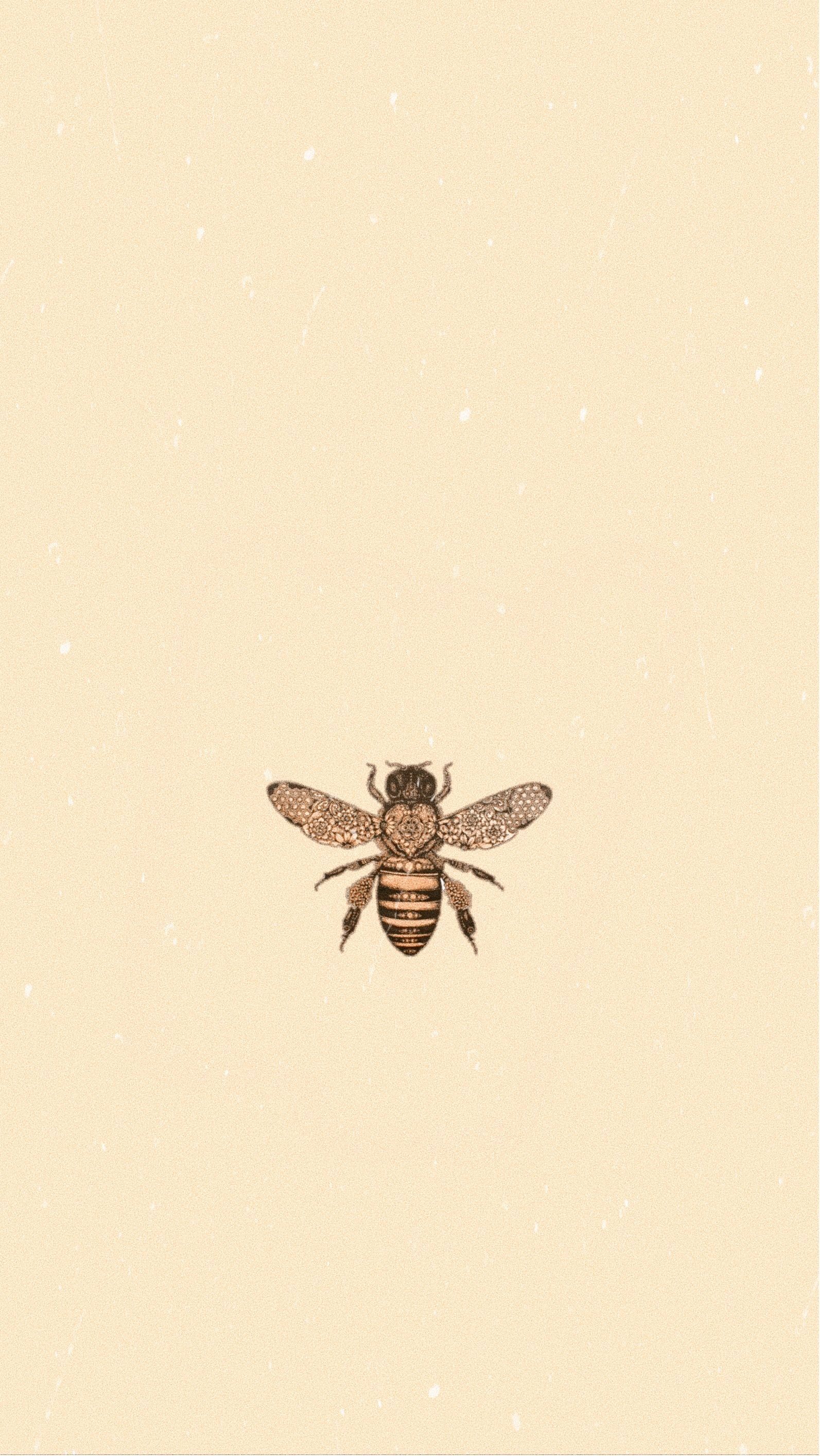 cute bee wallpapers 0065