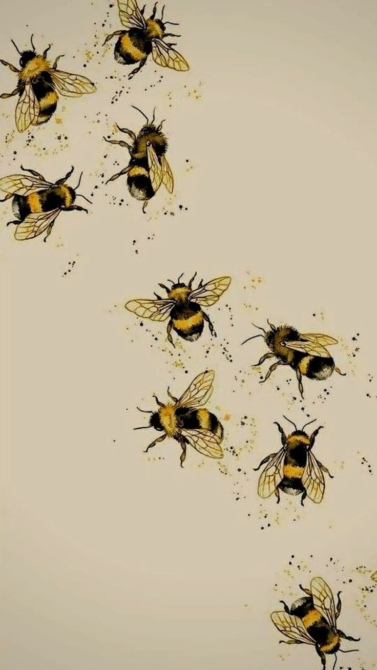 cute bee wallpapers 0070