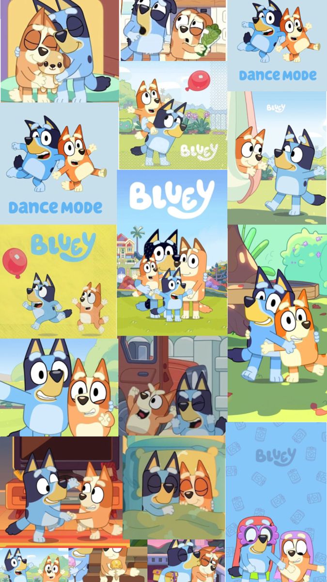 cute Bluey wallpapers 0031