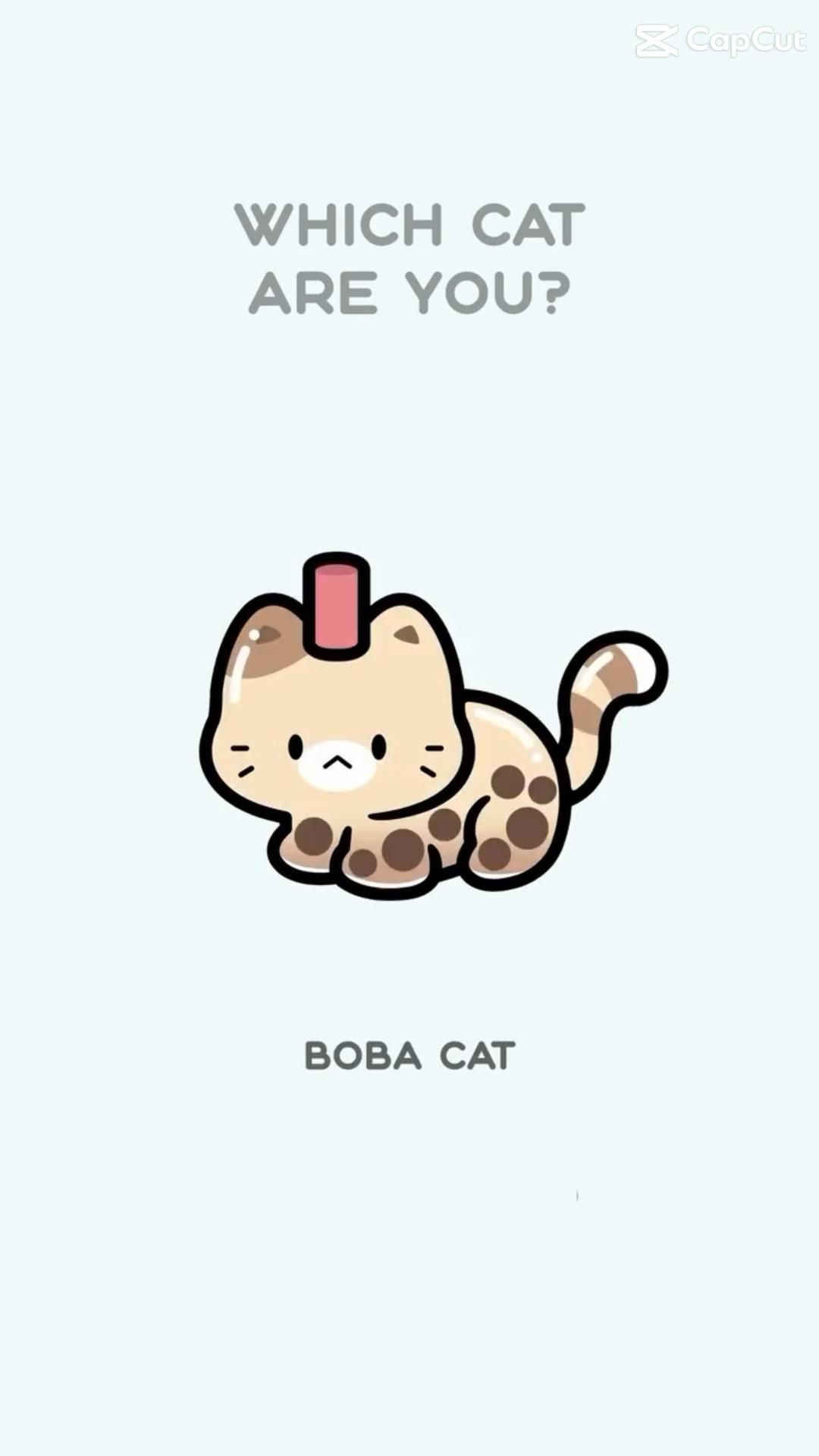 cute boba wallpapers 0020