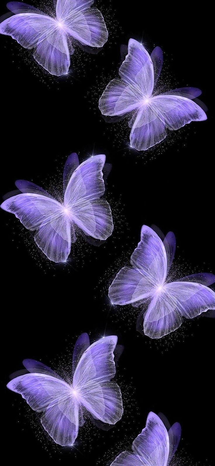 cute butterfly wallpapers 0039