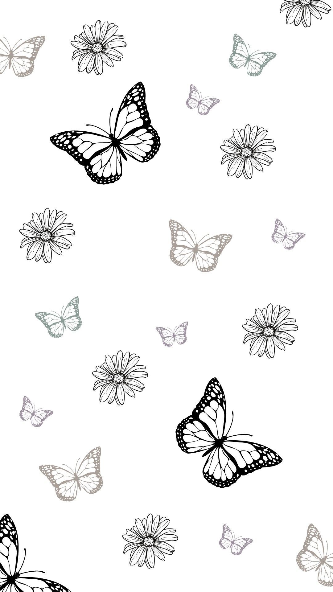 cute butterfly wallpapers 0040