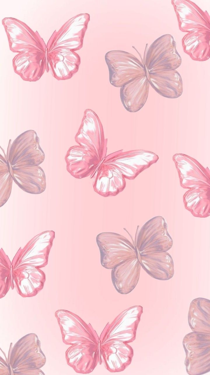 cute butterfly wallpapers 0056