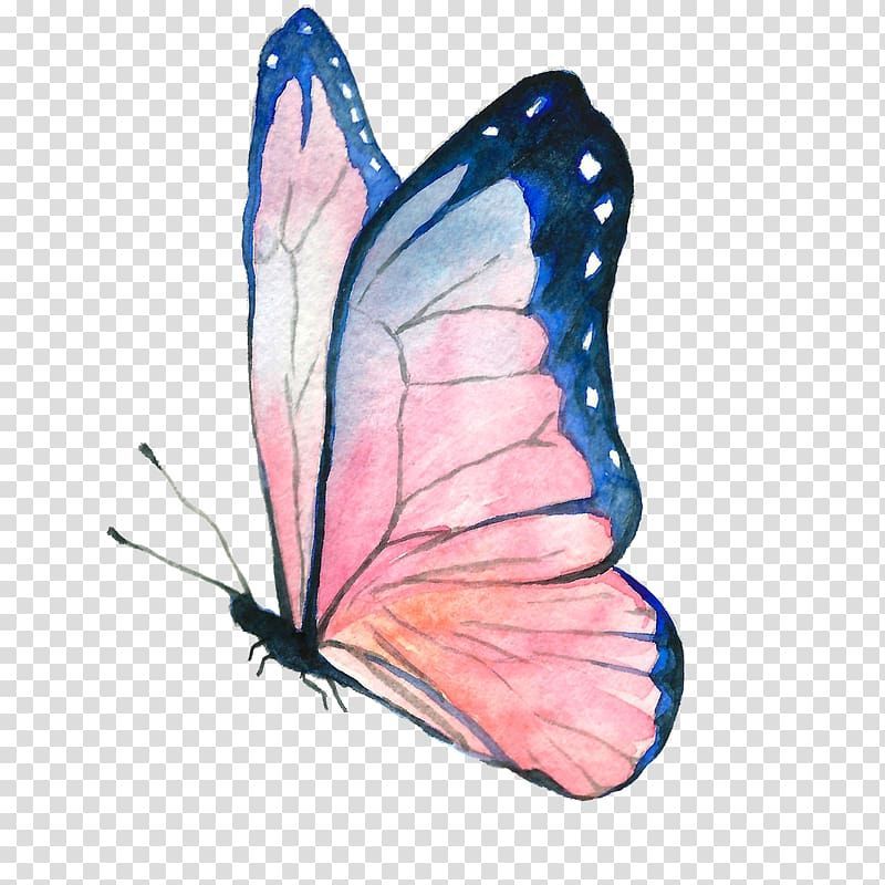 cute butterfly wallpapers 0072