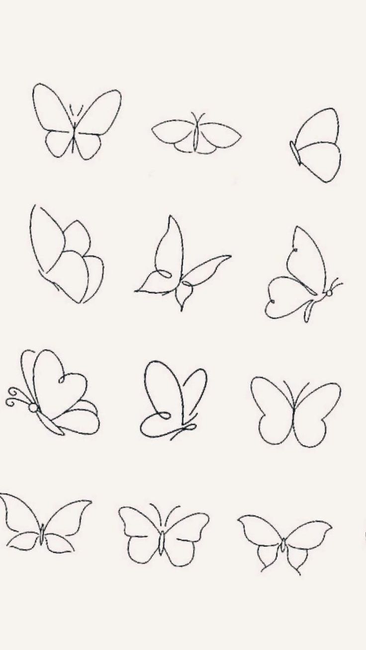 cute butterfly wallpapers 0090