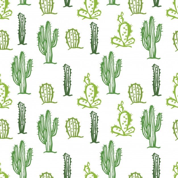 cute cactus wallpapers 0012