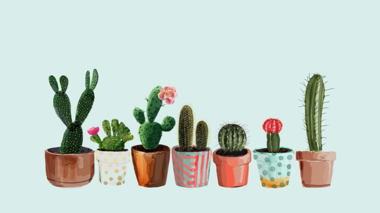 cute cactus wallpapers 0013