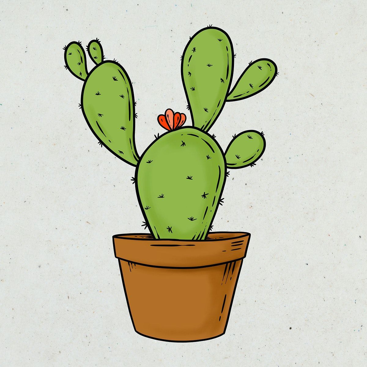 cute cactus wallpapers 0024