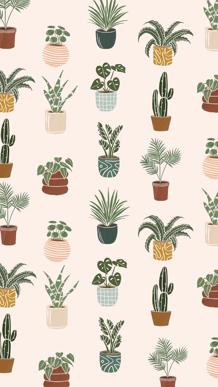 cute cactus wallpapers 0030