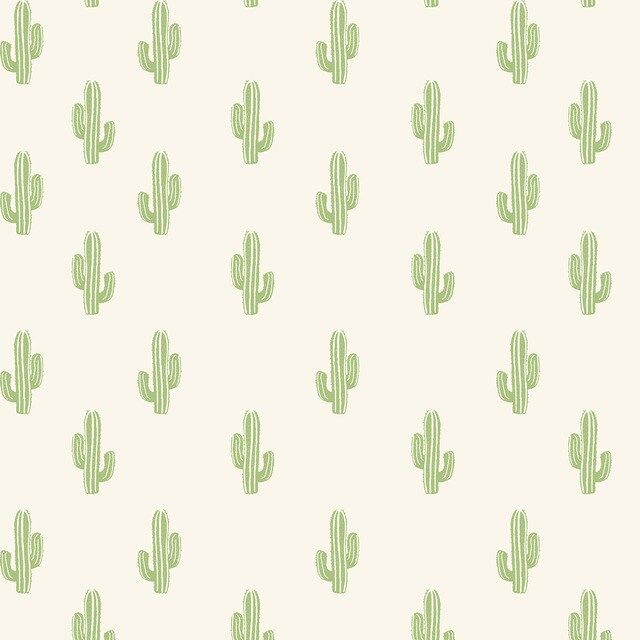 cute cactus wallpapers 0031