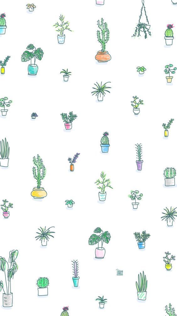 cute cactus wallpapers 0032