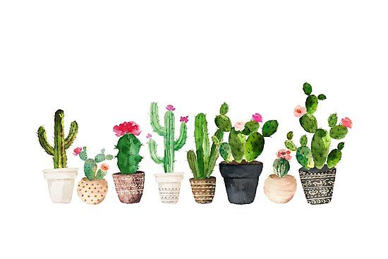 cute cactus wallpapers 0033