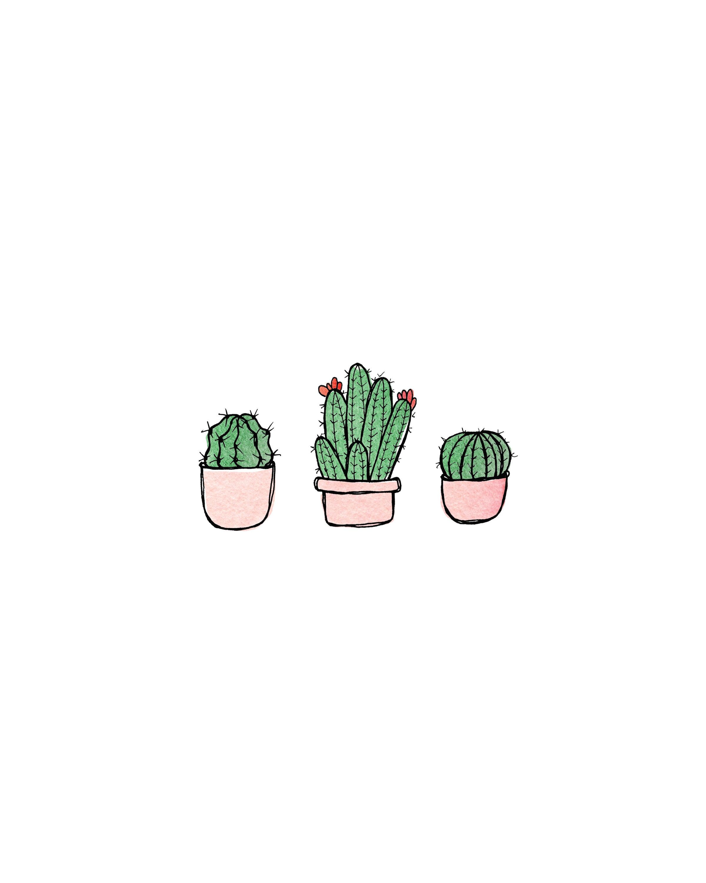 cute cactus wallpapers 0040