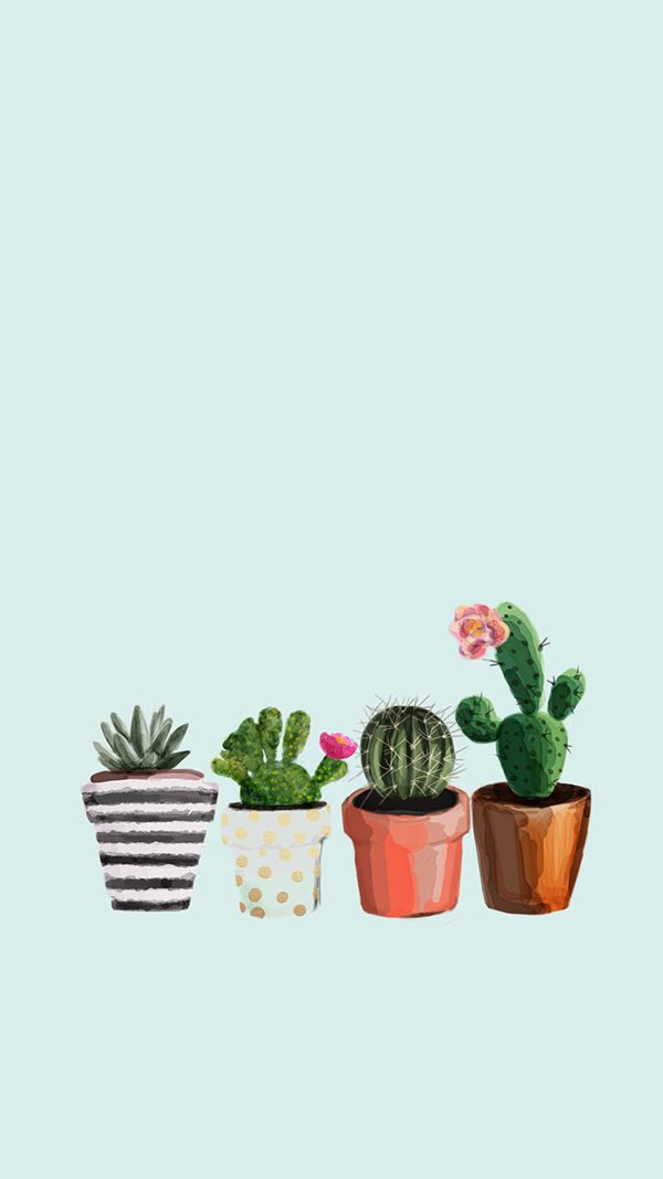 cute cactus wallpapers 0041