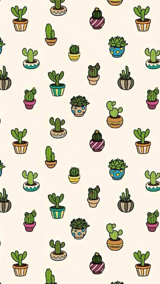 cute cactus wallpapers 0047