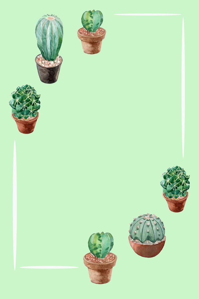 cute cactus wallpapers 0058